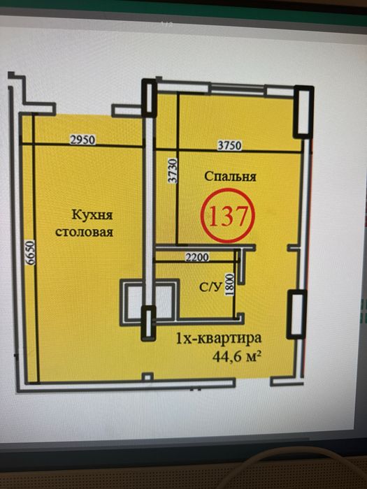 1 хона уй яккасарой  Шота руставелида 20000$