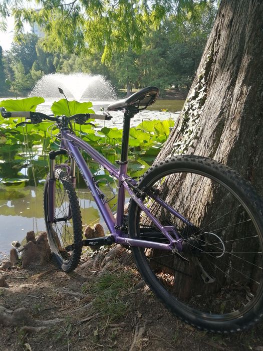 Bicicleta Felt Women