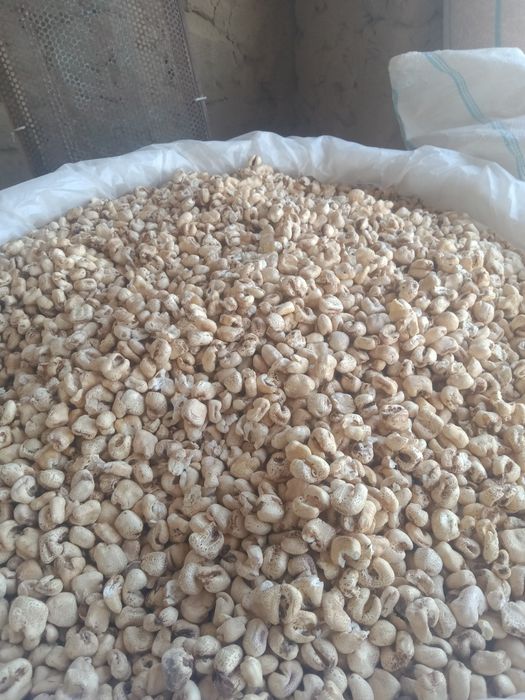 Mazzali popcorn kukuruzni