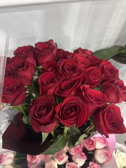 Продам свежие метровые розы, 25 шт.