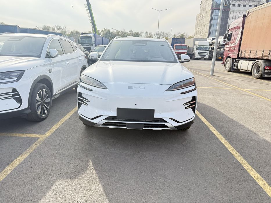 Sea Lion 06. Tashkent da Nd 40. Klent nomiga chiqadi