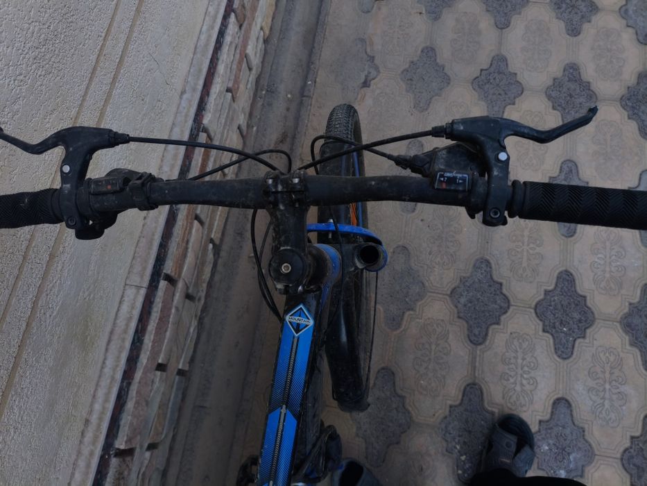 Velasaped holati chotki ideal xolatda duribdi