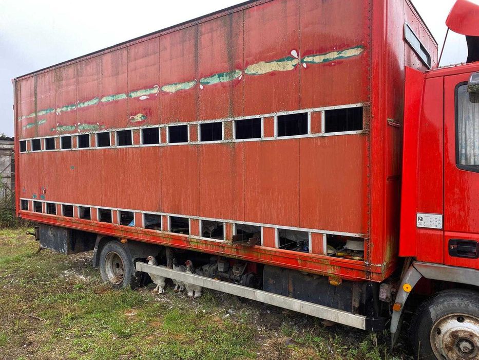 Iveco Euro Cargo 7,5 T Pentru Stupi