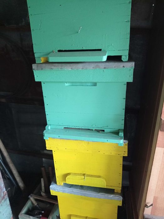 Cutii stupi, alimentatoare