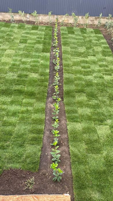 Curat terenuru ,defrișări , cosit vegetatie, taiat pomi, gunoi