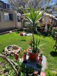 Cazare Casa Alina Eforie Sud ..