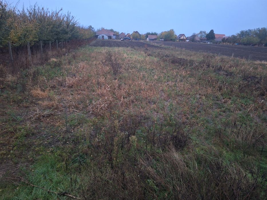 Proprietar vînd casa nouă localitatea iratoș [intabulata]