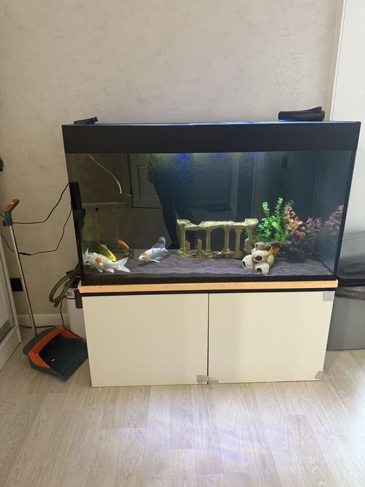 Продам аквариум 300 л со всей живностью