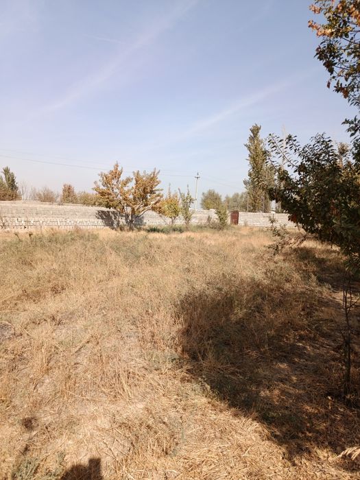 Участок 8- соток в Чиназе ,дешево