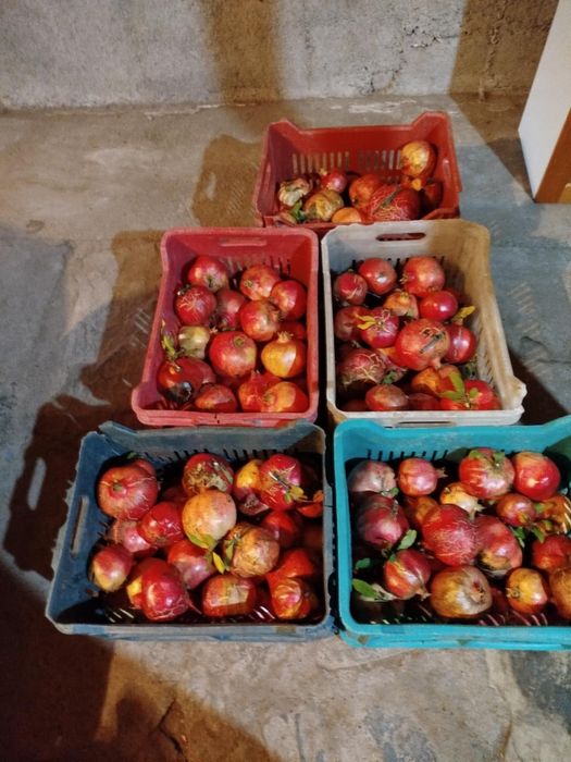 Продавам Нар около 20 кг