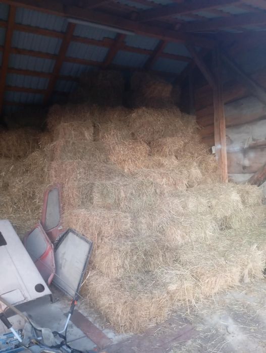 Vind baloti fin de calitate