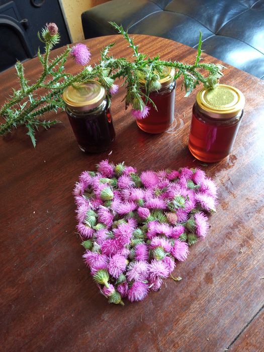 Еко консерви на сносни цени 3 лв.