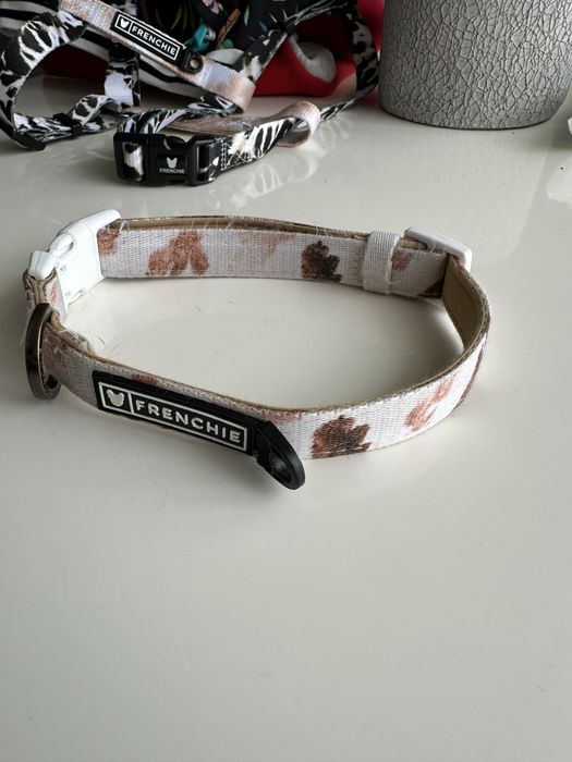 Ham si zgarda Frenchie