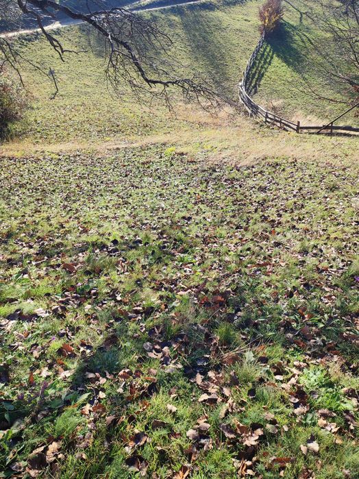 Teren pe Valea Sebesului