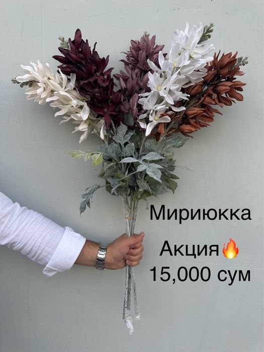 Суний гуллар шохлар оптом