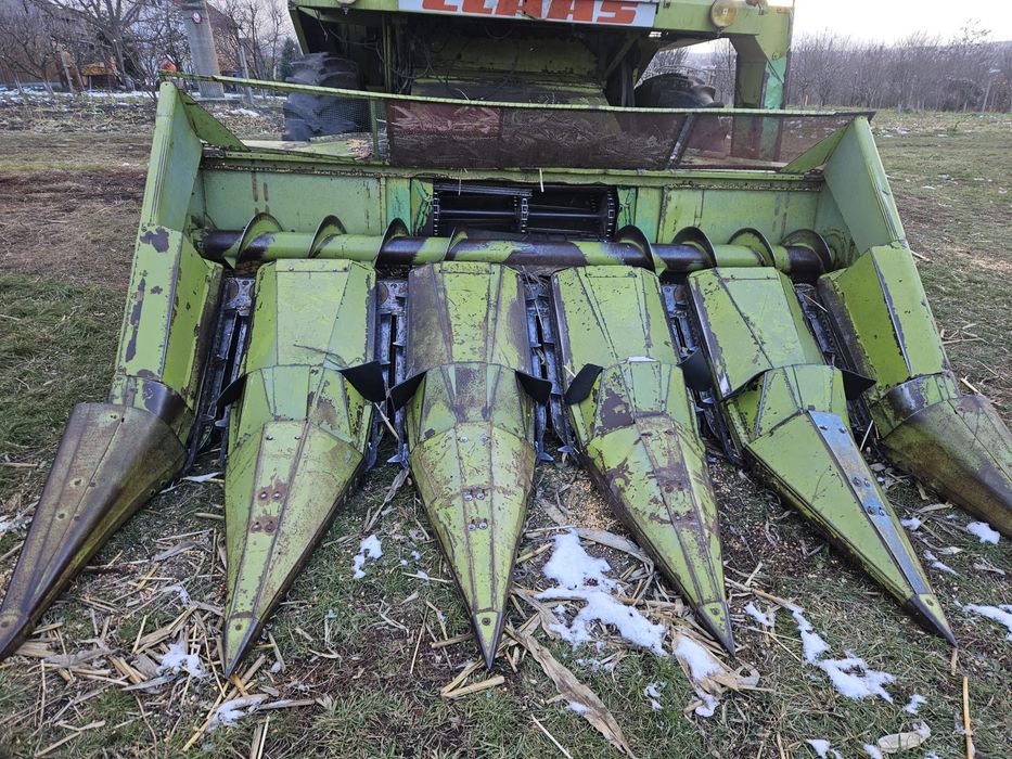 Vand masa de grau + masa de porumb