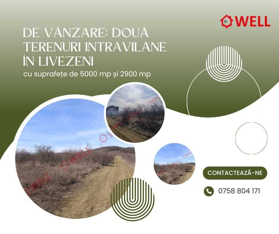 De vânzare: două terenuri intravilane în Livezeni
