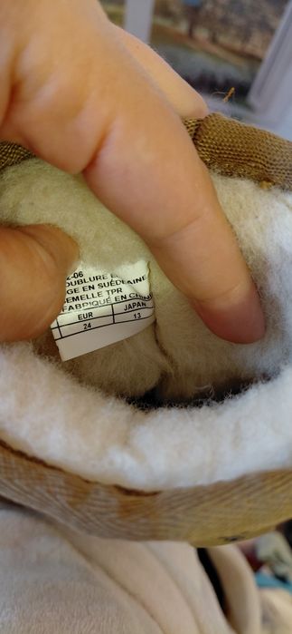 Ghete emu copii vulpita