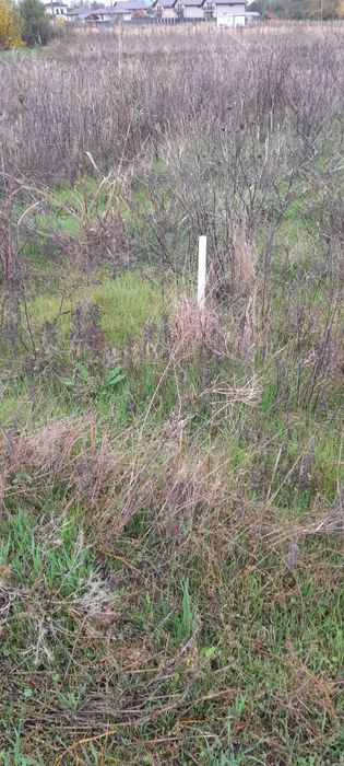 teren intravilan Mihailesti