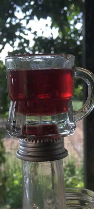 Floare de trandafir din soiul Damasc cu floarea mare - pt dulceata etc