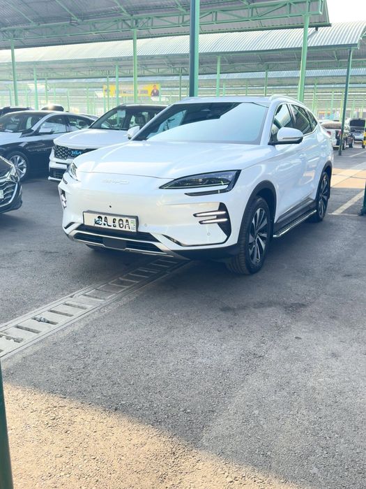 Byd song plus champion chempion