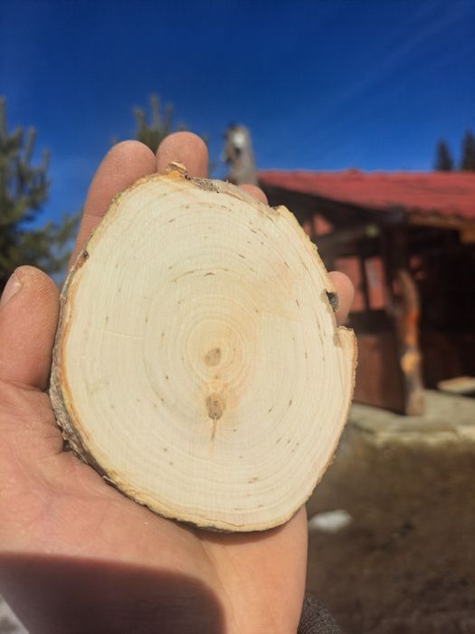 Rondele lemn, diverse mărimi / diverse specii / handmade / Natural