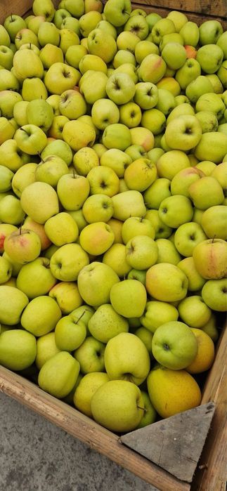 Avem mere si pere de vanzare