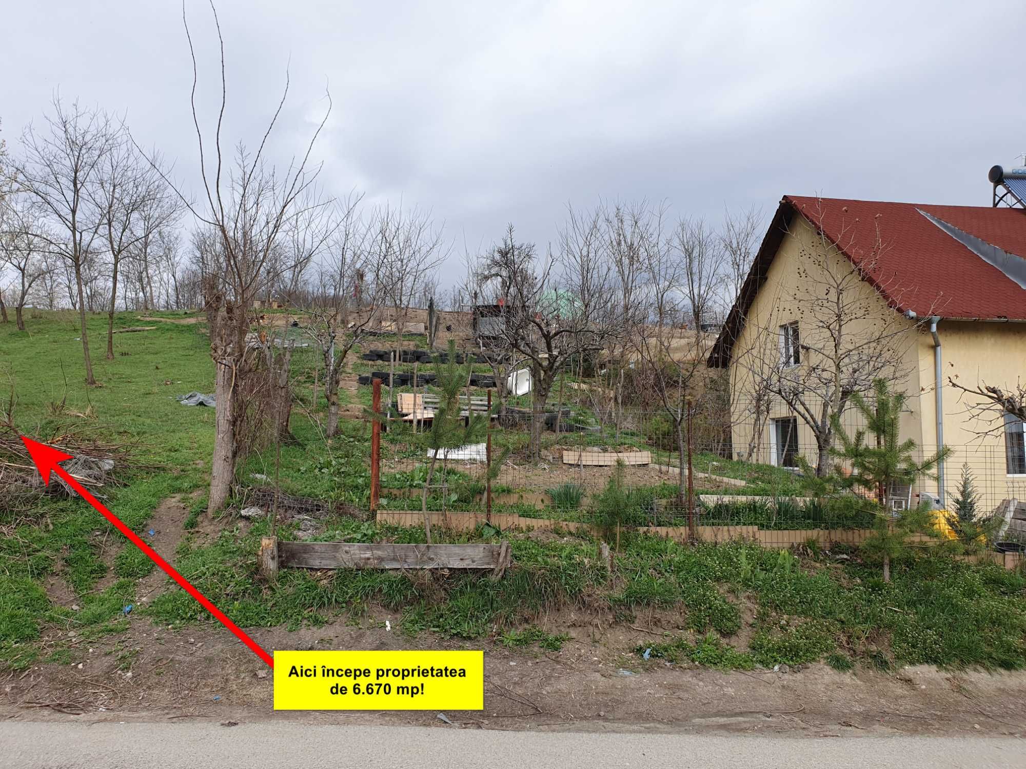 Teren deosebit, cadru superb, până la 6.670 mp, intravilan, str. Buda
