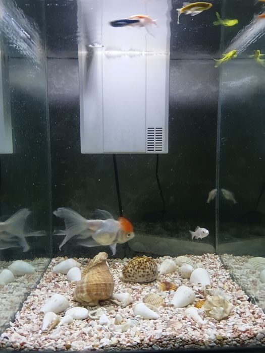 Аквариум 35 литрли