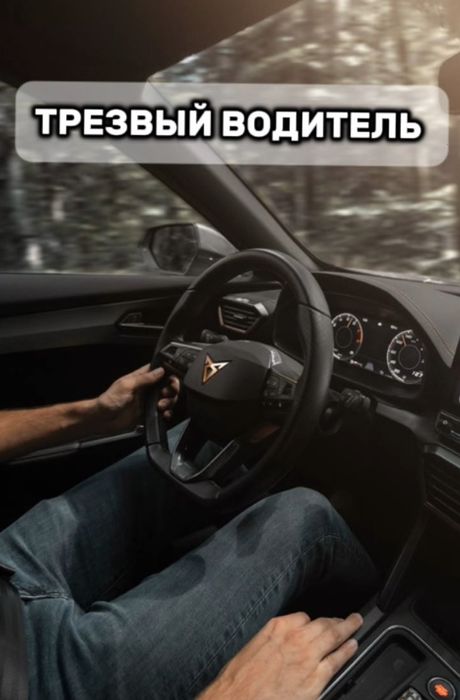 Трезвый Водитель