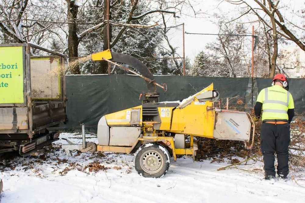 ARBORIST.RO - CLUJ NAPOCA - Toaletare arbori, Taiat arbori copaci pomi