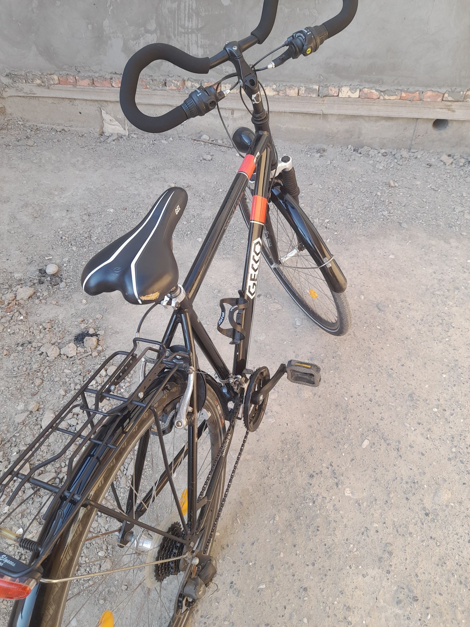 Velosiped nomi gecco