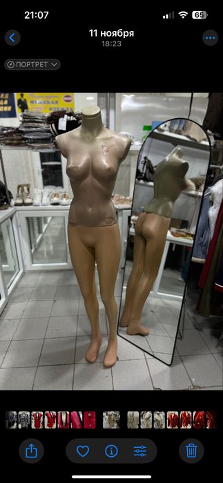 Манекен ростовой