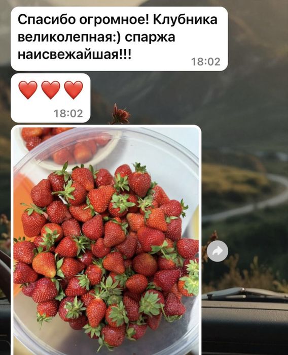 Продам клубники черный принц крупная