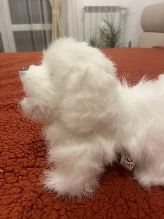 Интерактивно коте и куче