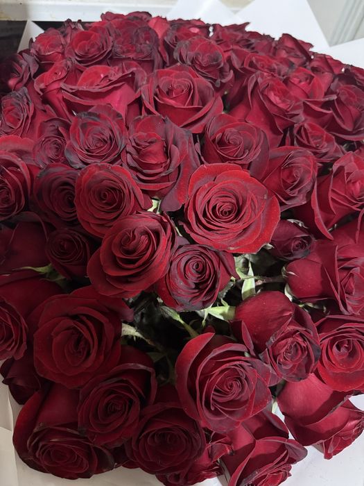 101 Роза красные