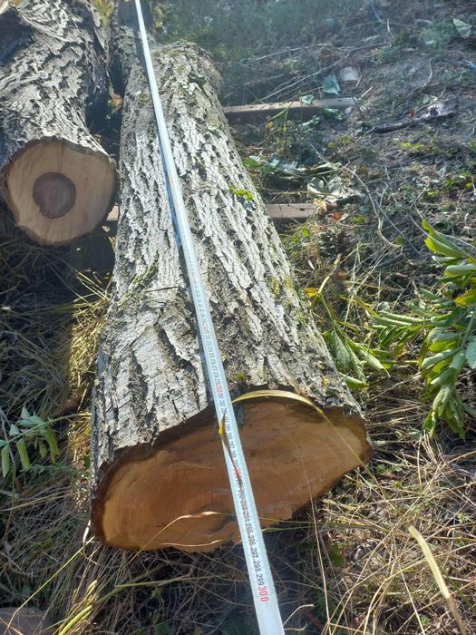 Орех трупи дървен материал