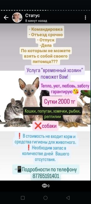Передержка, временный хозяин