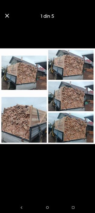 Vnd lemne de foc fag de fabrică