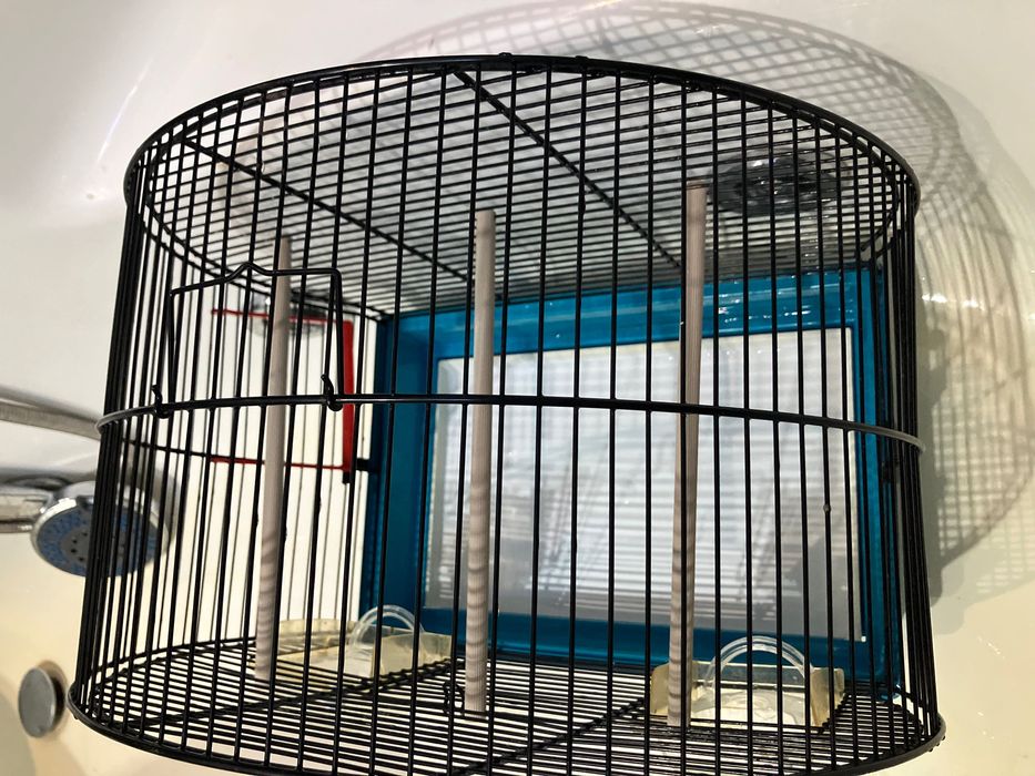 Colivie păsări mici