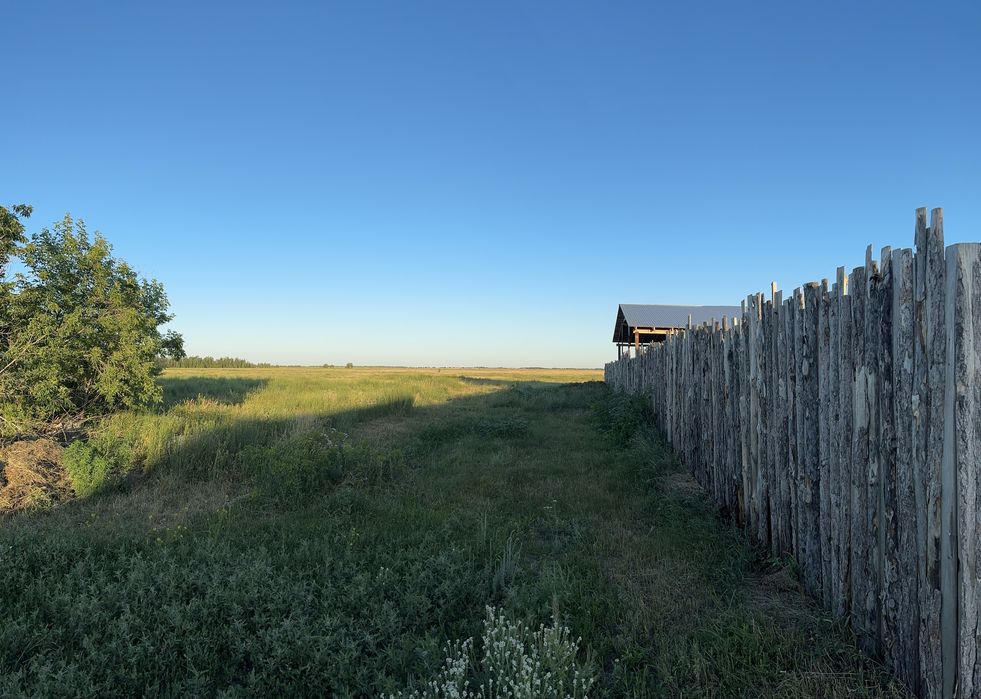 Ведение животноводства