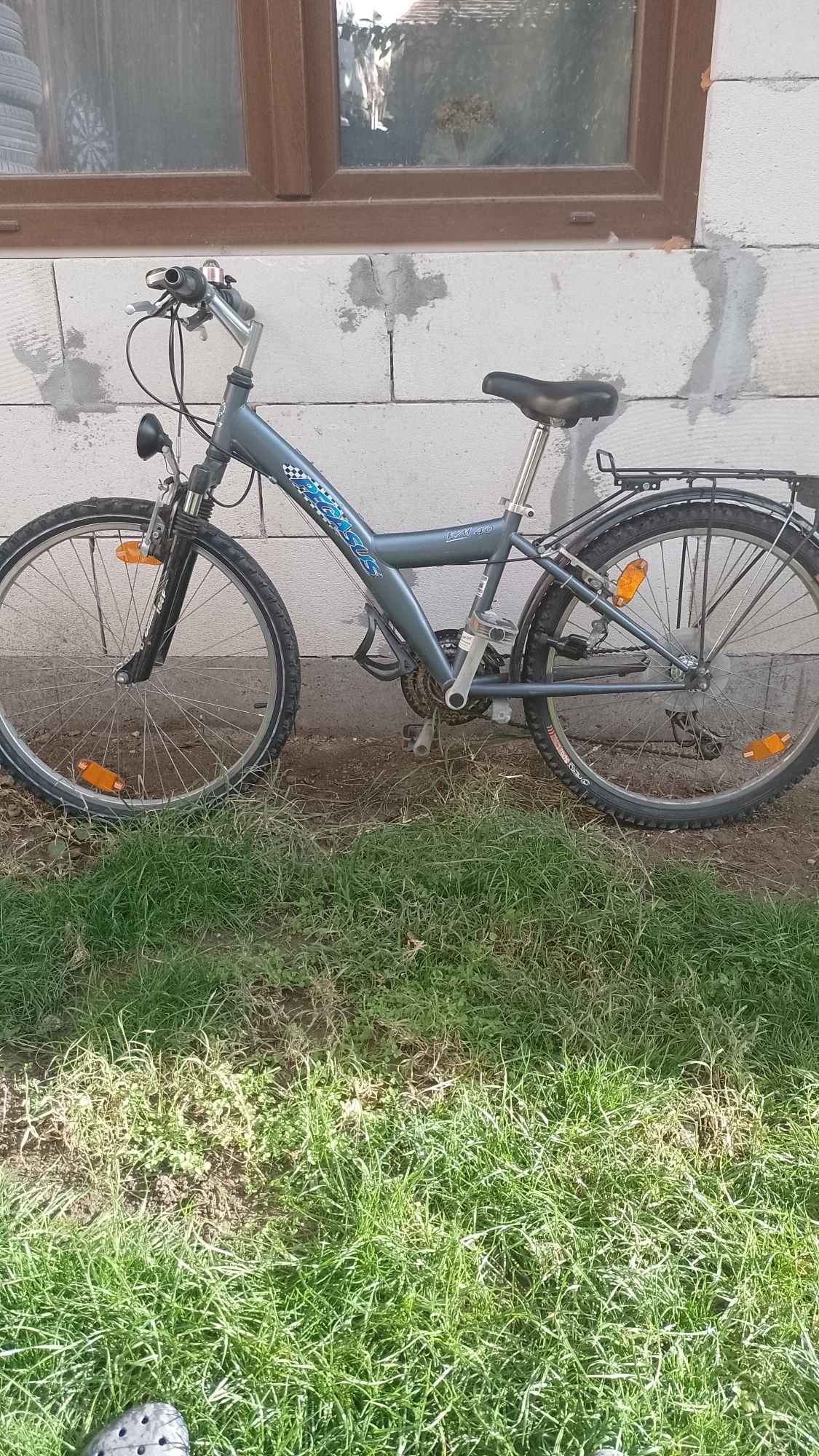 Bicicleta Pegasus km40