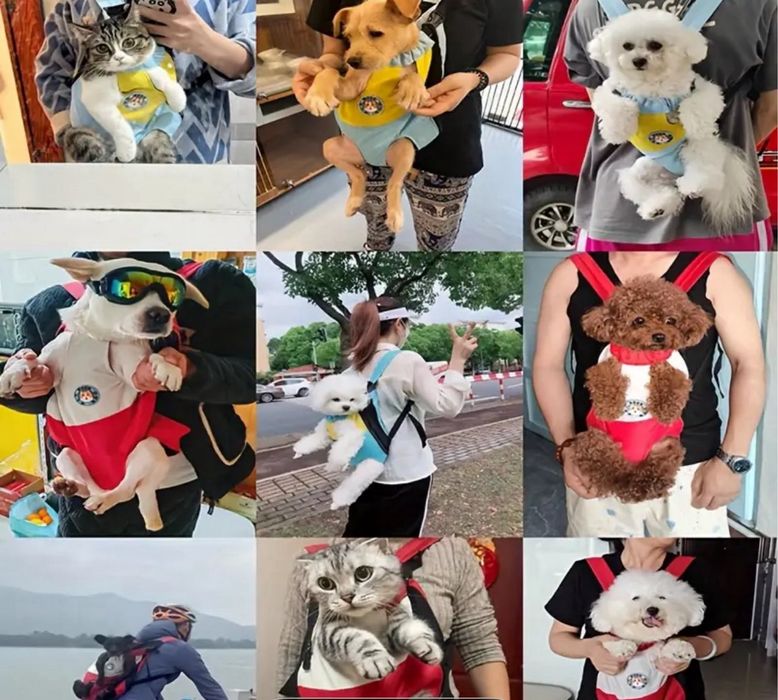 Комфортна раница за кученца – регулируем размер