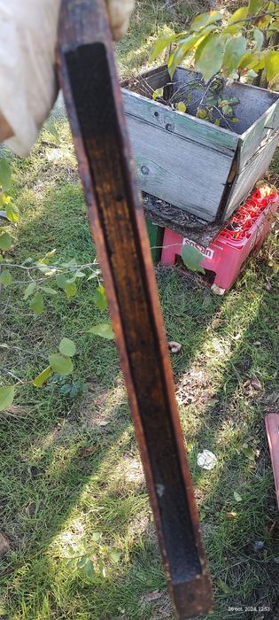 Vând rame hrănitoare clădite