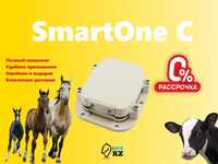SmartOne C gps для лошадей