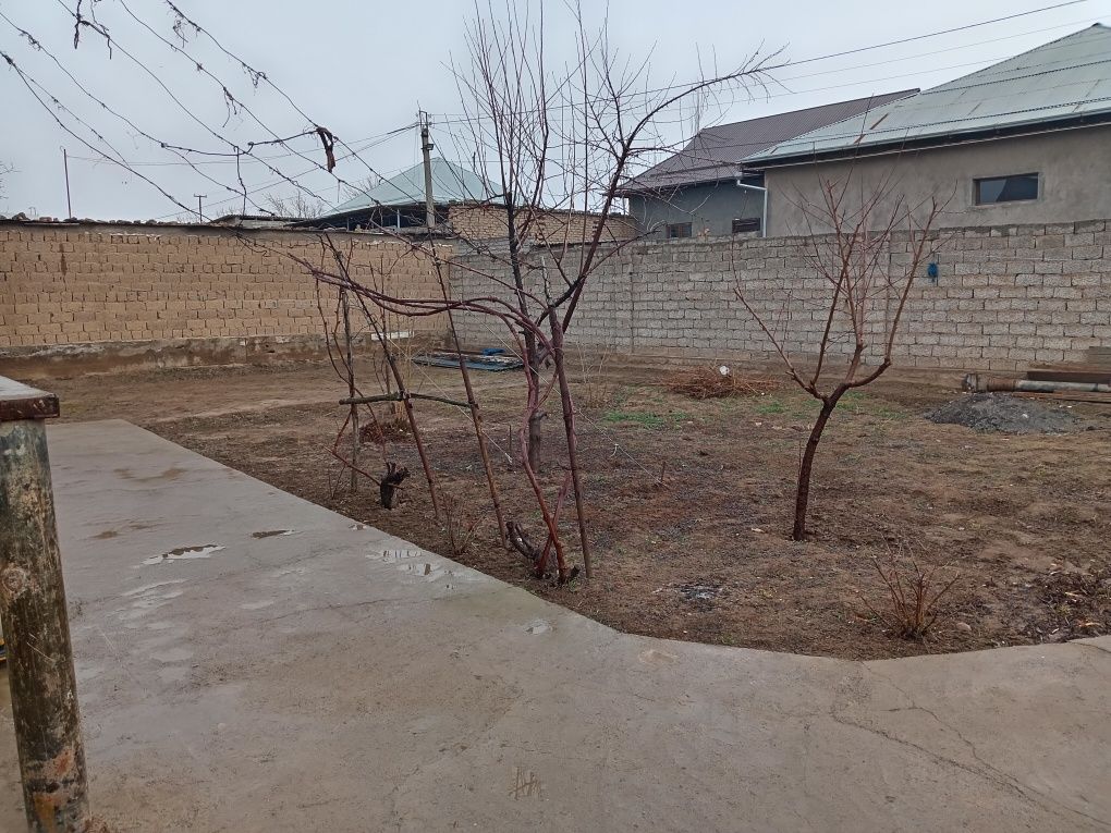 Qibray A jomiy mahallasida 2 sotix yer sotiladi xujjatlari joyida