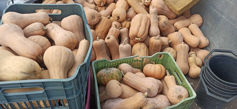 Тивки за консумация