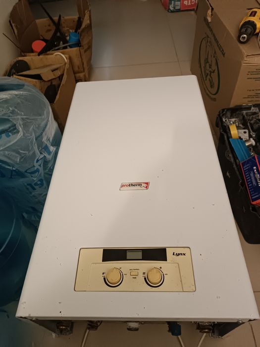 Продажа котла Protherm lynx
