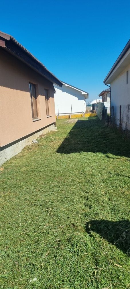 Cosit Spatii verzi