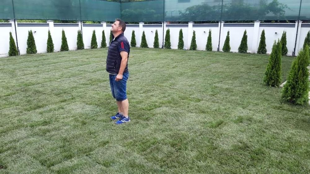 Plante ornamentale și rulou de gazon, livrare rapida oriunde în Țară